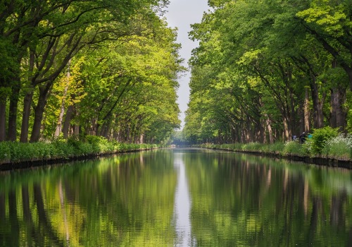 À la découverte du Canal du Midi : une attraction touristique de Toulouse